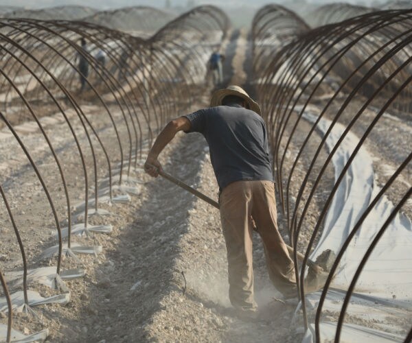 Suicide Rate Higher Among American Farmers Than Any Other Job