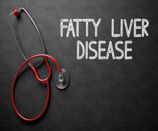 Experimental Drug Reverses Fatty Liver Disease
