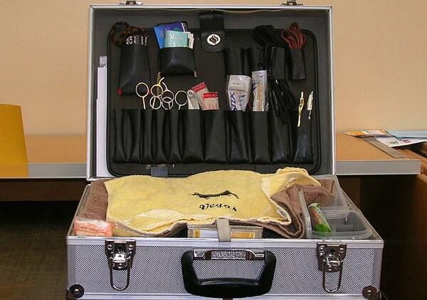 A Dog Grooming Guide: How to Choose a Professional Groomer for Your Pet