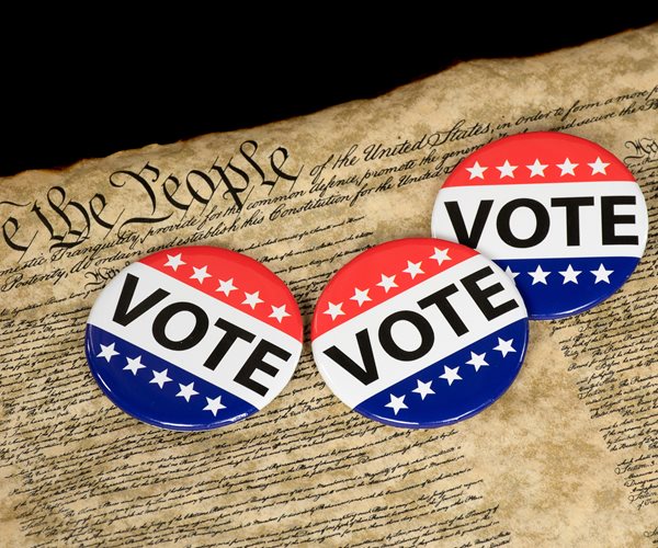 vote buttons on the constitution