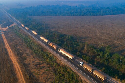 Top Brazil Official Says No Halt to Amazon Protections