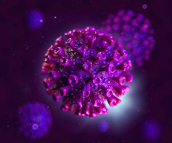 We Will Be Living With Coronavirus Pandemic Well Into 2021
