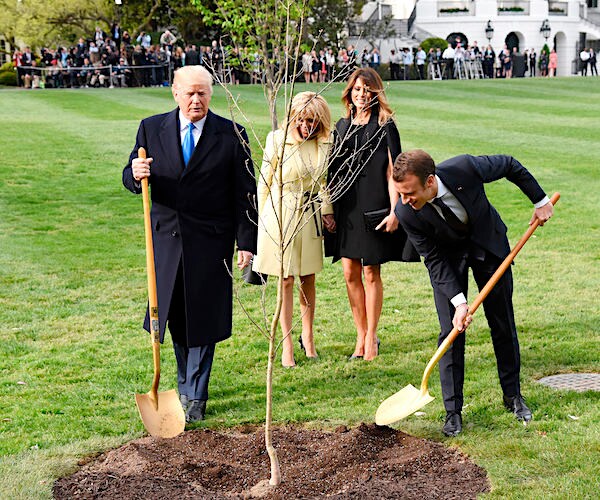 France's Emmanuel Macron digs as he brought a French oak tree for the White House to plant in its lawn