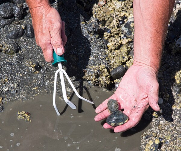 Washington Clam Digging Deaths: 2 Women Die in Rough Surf
