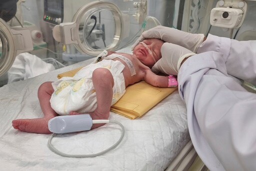 A Palestinian Baby in Gaza Is Born an Orphan in an Urgent Cesarean Section after an Israeli Strike