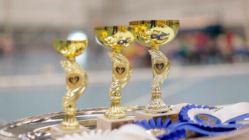 Hobby Horse Fans Show off Their Skills in Finland