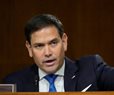 Rubio: Biden's Bank Watchdog Nominee 'Supports Communist Policies'