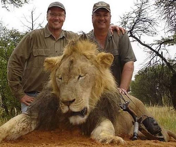 Office of Dentist Who Killed Cecil the Lion Reopens