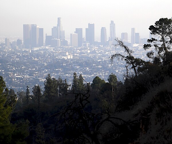 the silhouette of downtown los angeles is seen from the griffith observatory