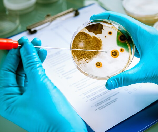 Kellogg Recalls Leggo Waffles in Food Poisoning Scare