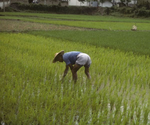 Jim Rogers: I'm Short on US Stocks, Long on Chinese Agriculture
