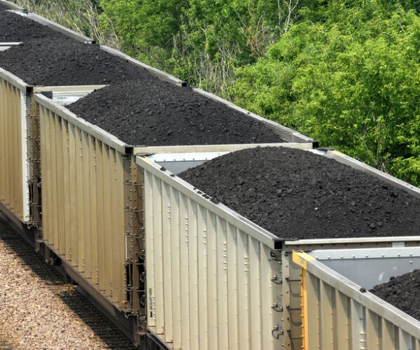 Coal CEO Blasts Federal Agency's Decision on Power Grid