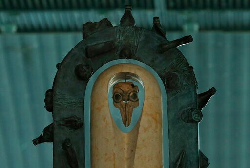 US Files 1st USMCA Environment Case on Mexico over Porpoise