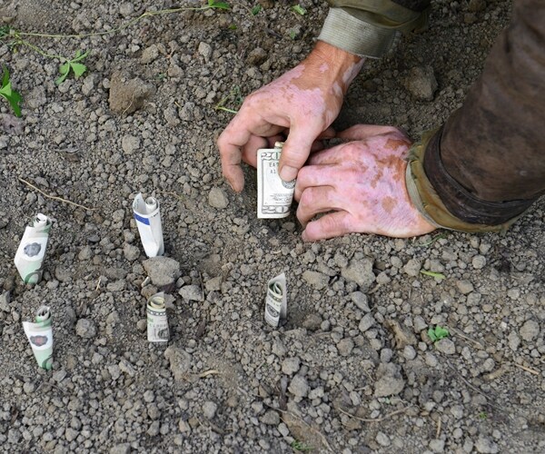 Weak Corporate Investment Killing Economic Growth