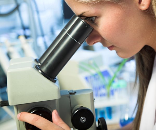 Trump Pulls Plug on Fetal Tissue Research by Federal Scientists