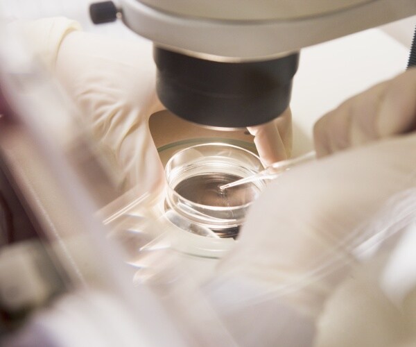 scientist in lab researching an embryo