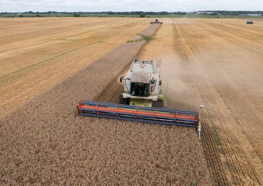 Russia's Threat to Pull out of Ukraine Grain Deal Raises Fears about Global Food Security
