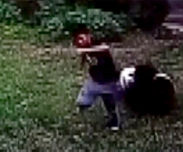 Meiling Wrestles Zoo Intruder After Showoff Provokes Panda