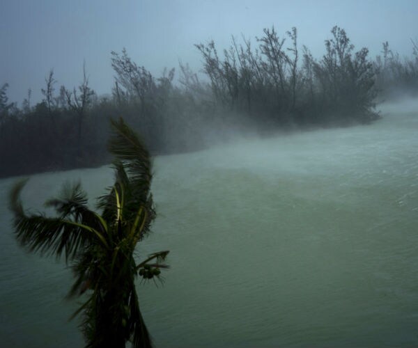 strong winds from hurricane dorian blow trees and brush while whisking up water from  canal that leads to the sea