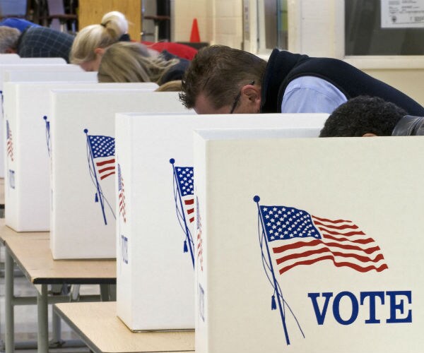 people are seen in voting booths at a school in virginia in 2008