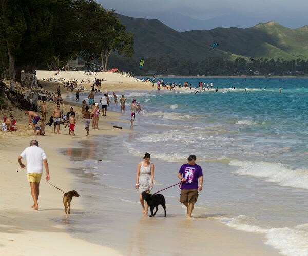 people walking on the beach