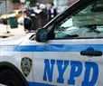 NYPD: 8 Arrested During Brooklyn ICE Protest