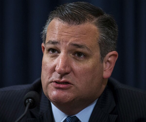 Ted Cruz: 'Angry' Left Didn't Slow Texas Conservative Turnout