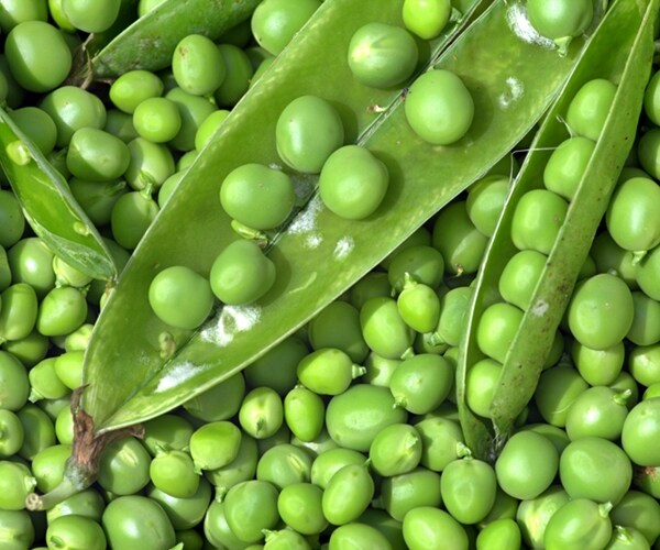 Big Ag Turns to Peas to Meet Soaring Global Protein Demand