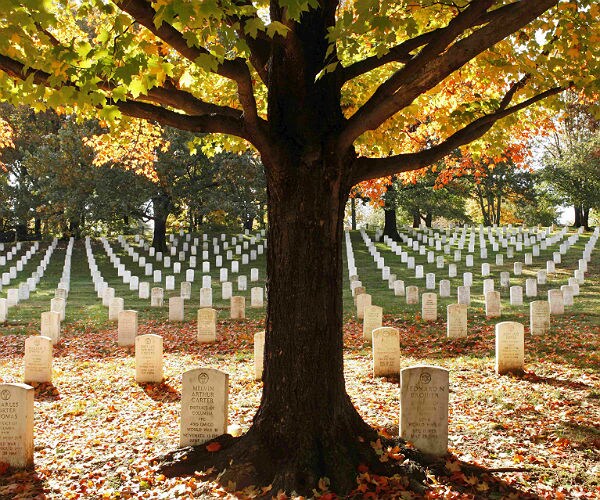 Police Officers Suspended Over Arlington Cemetery Photo