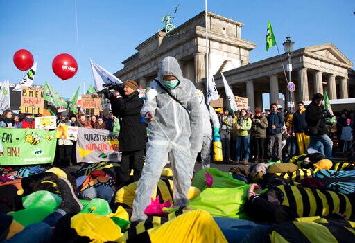 German Farmers Protest Agro-industry, Back Healthy Foods