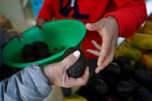Mexican President Sees Conspiracy behind Avocado Ban