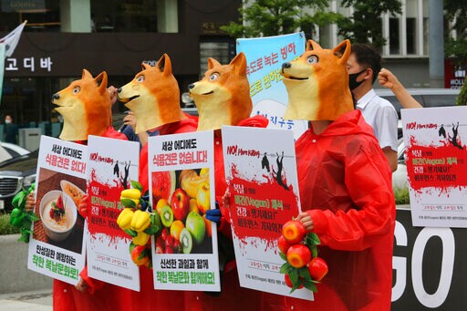 Mock Funeral for Dog Held in South Korea on 'dog Meat Day'
