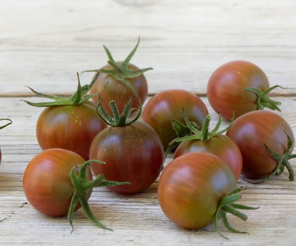 black cherry tomatoes