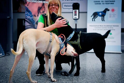 Finland Deploys Coronavirus-sniffing Dogs at Main Airport