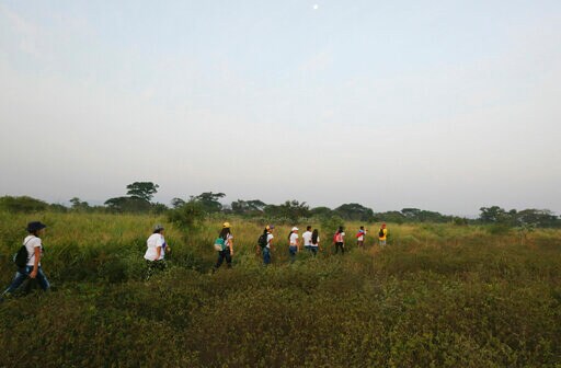 The Latest: Branson Postpones Flight to Space for Concert