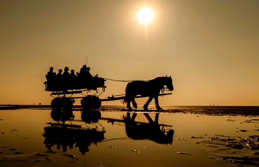 Germany: Dry Weather Raises Fears of Forest Fires, Drought
