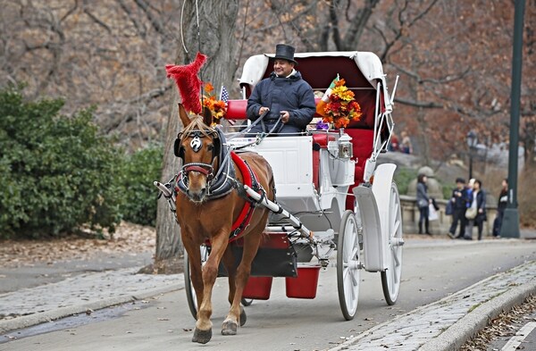De Blasio Pens Bill to Ban Horse Carriages in NYC