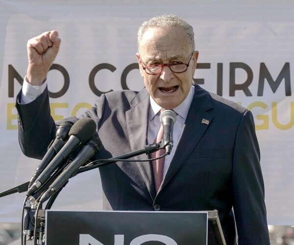 chuck schumer raises fist