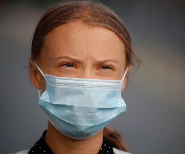 Thunberg Trolls Trump After His Demand to Stop Vote Count