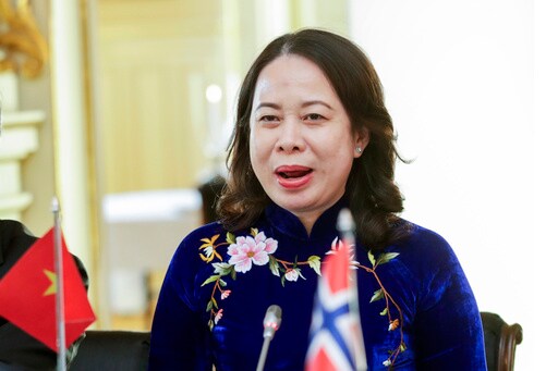 Vietnam's Vice President Becomes Interim President
