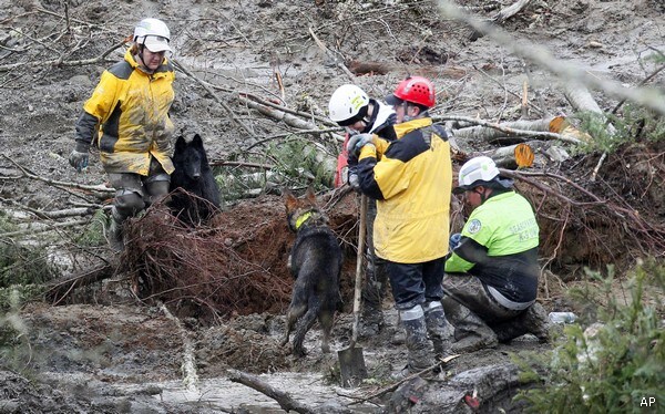 Mudslide Death Toll Rises to 21, Search Dogs Take Break