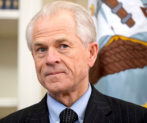 peter navarro looks on curiously during a news conference