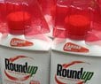 MAHA: Glyphosate Move Could Cost Trump Support