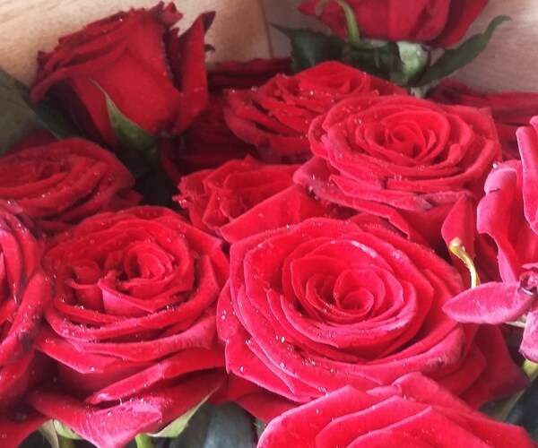 Stranger, Widower Celebrate Dead Wife's Birthday