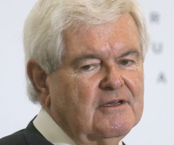 Former House Speaker Newt Gingrich is pictured