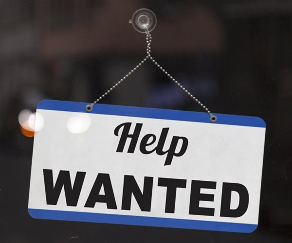 Unemployment Unchanged Amid Stable Job Market