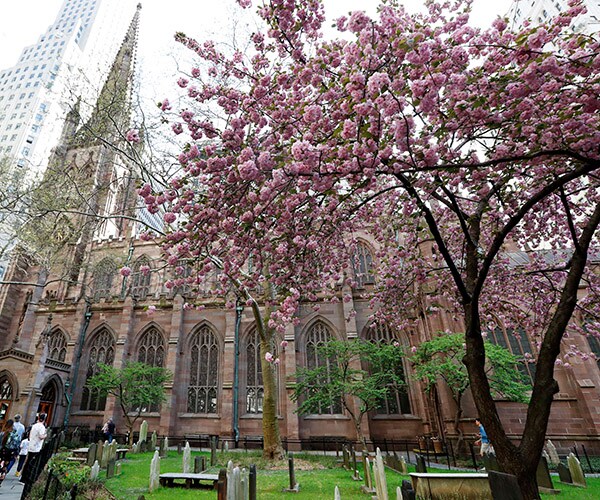 NYC's Historic Trinity Church to Partially Close for 2 Years
