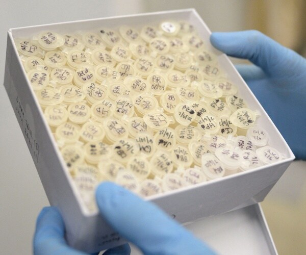 CDC: U.S. Added to WHO Circulating 'Vaccine-Deprived' Poliovirus List