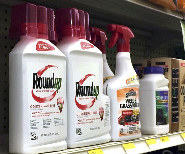 Rep. Gowdy Questions Why Cancer Study Was Buried