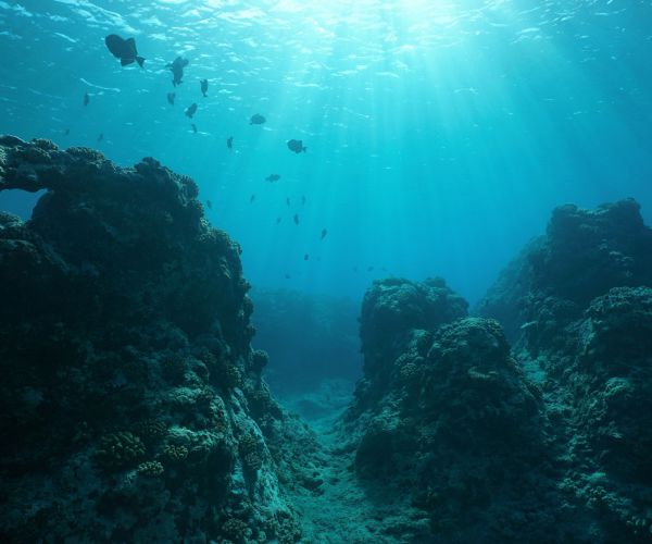Don't Be Alarmed by Sinking Oceanic Floors
